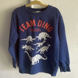H&M Dinosaur Sweatshirt